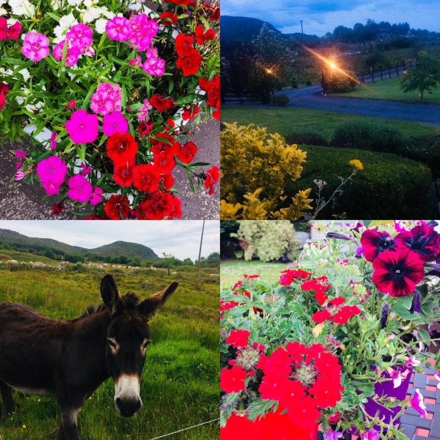 Hillcrest Farmhouse Bed & Breakfast Boyhollagh 外观 照片