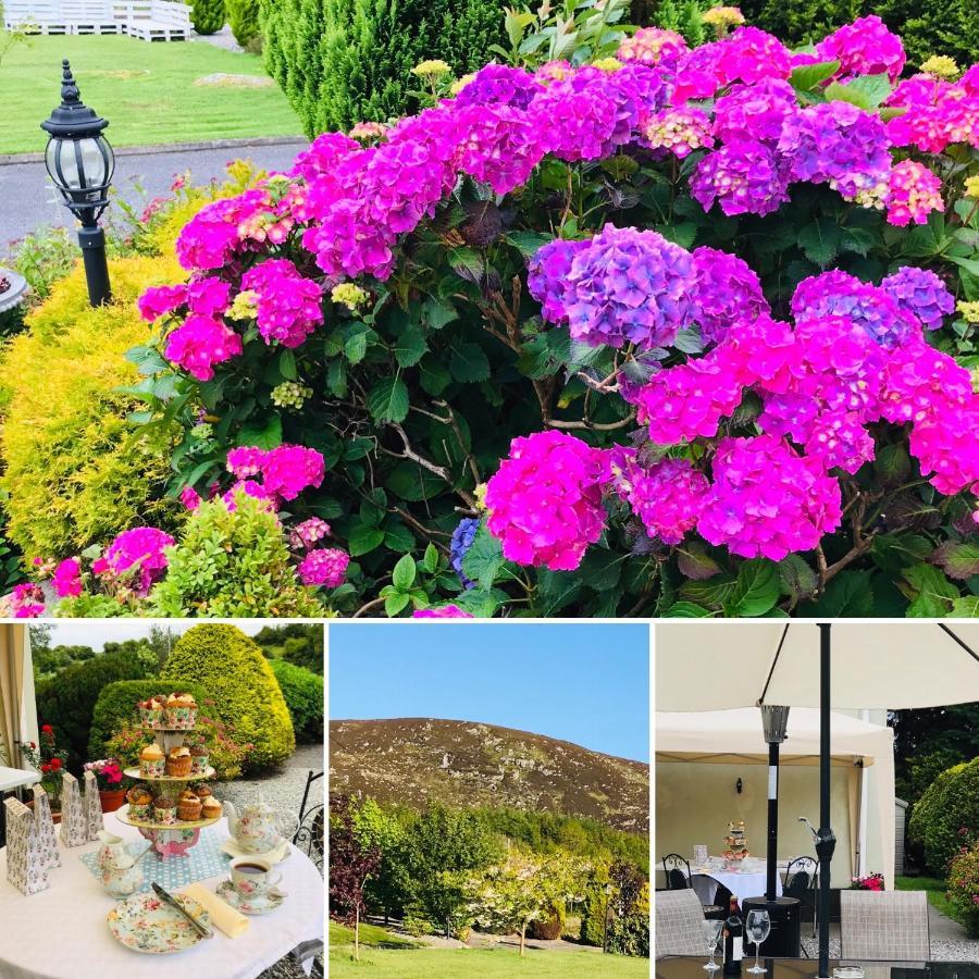 Hillcrest Farmhouse Bed & Breakfast Boyhollagh 外观 照片