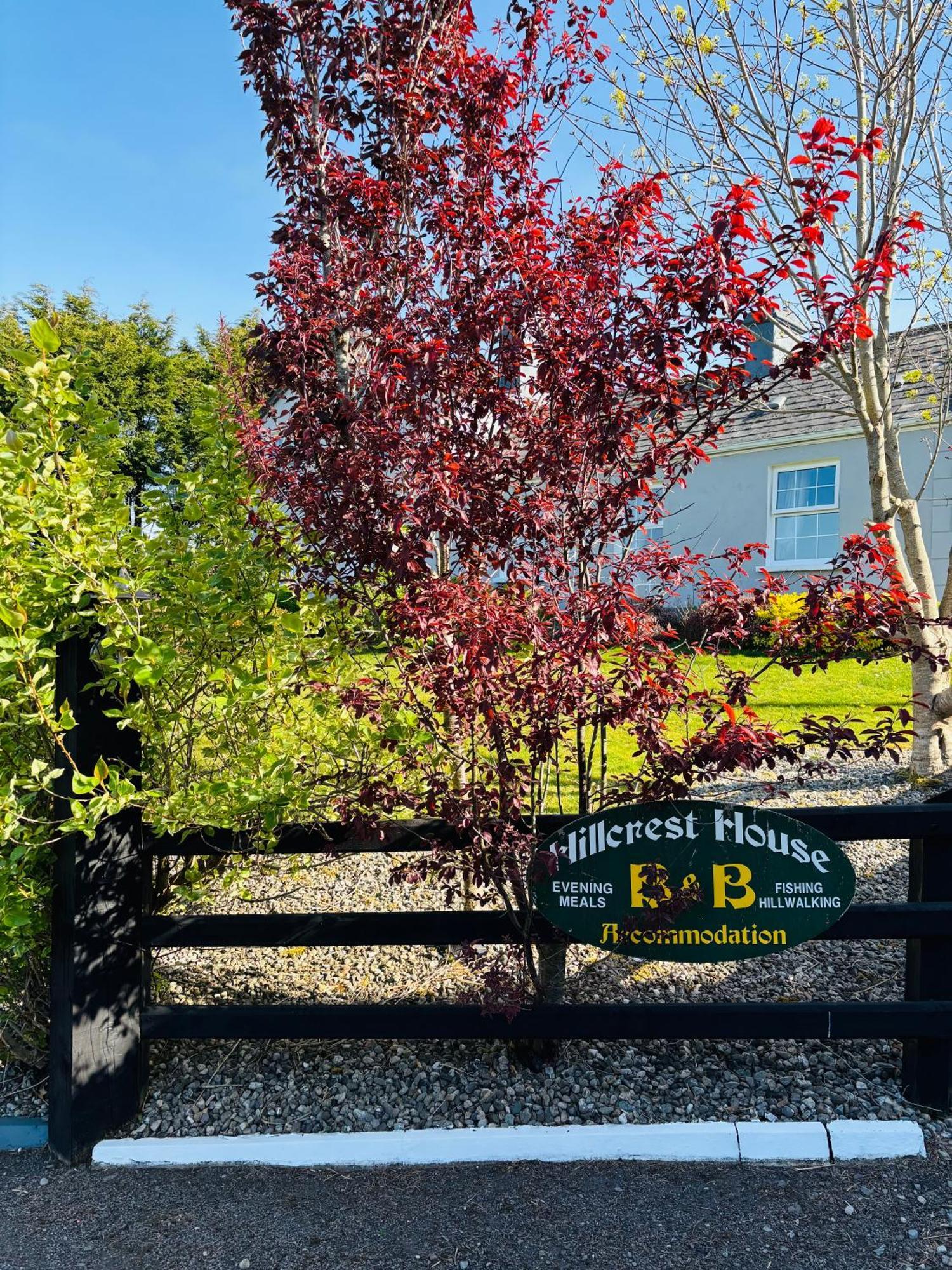 Hillcrest Farmhouse Bed & Breakfast Boyhollagh 外观 照片